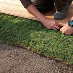 anti-mollen-gaas-mollengaas