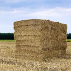 brokers-flexibles-kunststoffen-balen-perstouw-sisal-perstouw