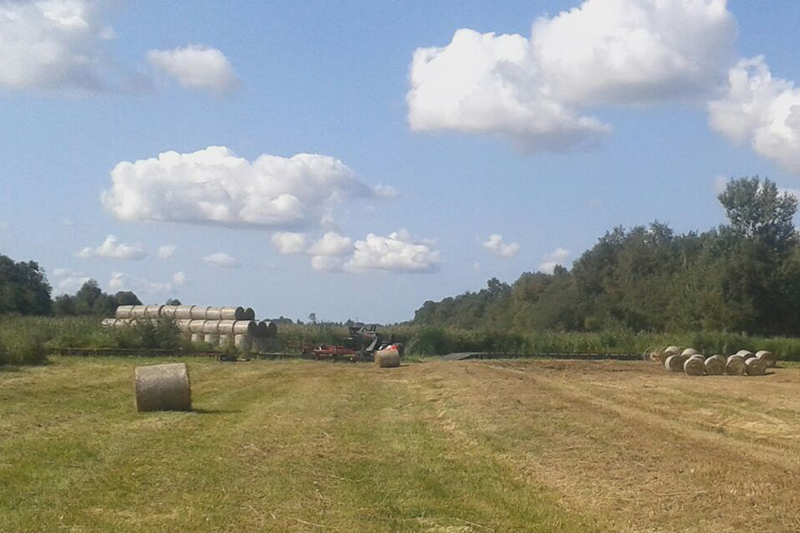 brokers-flexibles-kunststoffen-wikkelen-riet-balen