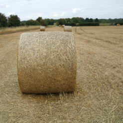 wikkelnet-silage-ronde-balen